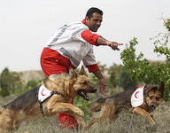 شروع فعالیت سگ‌های زنده‌یاب در فریمان و رضویه