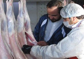 بیماری تب خونریزی دهنده‌ کریمه‌ کونگو در آذربایجان‌شرقی مشاهده نشده است