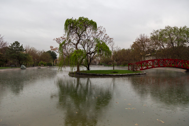 برگزاری چهارمین جشنواره پاییزه باغ گیاه شناسی ملی ایران برگزاری چهارمین جشنواره پاییزه باغ گیاه شناسی ملی ایران