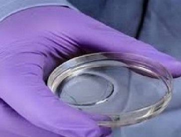 عکس دریافتی و تزیینی است ساخت هیدروژلهایی با کاربرد در صنعت پزشکی و تصفیه پسابهای صنعتی