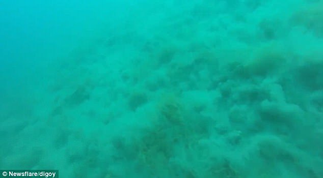 وقوع زمین لرزه 5.7 درجه‌ای در زیر آب+فیلم