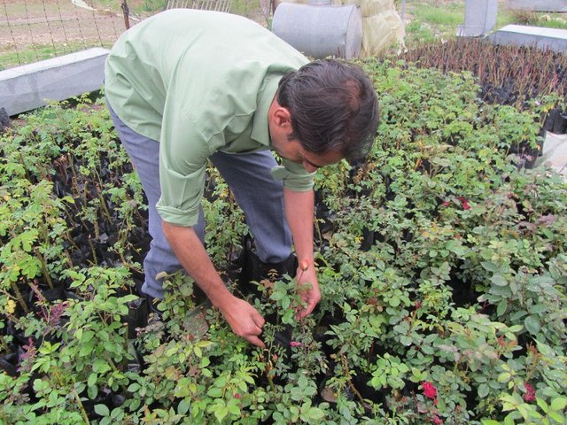 همکاری جهاددانشگاهی و اتحادیه تعاونی‌های عشایری ایلام 