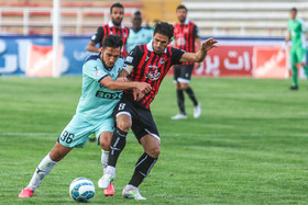 بادامکی: هنوز برای فصل بعد صحبتی نکرده‌ام