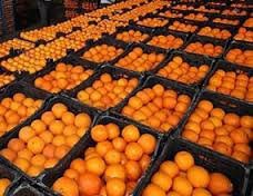 با رژیم غذایی پیشگیرانه فیبردار به جنگ سرطان بروید