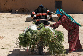 روستای گچی سو - گنبد کاووس