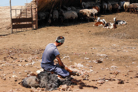 روستای گچی سو - گنبد کاووس