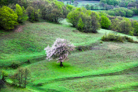  طبیعت بهاری ارسباران - استان آذربایجان شرقی