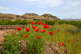  طبیعت بهاری ارسباران - استان آذربایجان شرقی