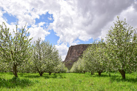 طبیعت بهاری ارومیه