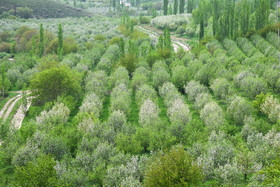 طبیعت بهاری ارومیه