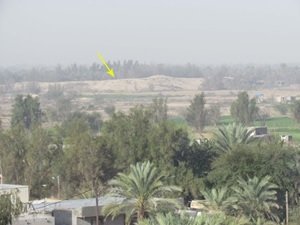 کشف یک مرکز مهم منطقهای در استان هرمزگان کشف یک مرکز مهم منطقهای در استان هرمزگان