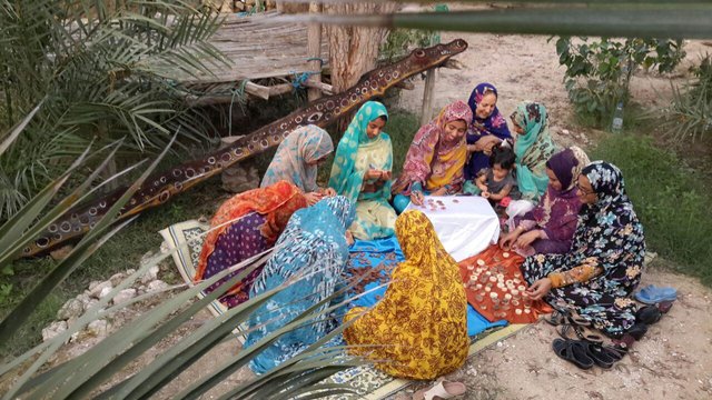 مرور فعالیت‌های احمد نادعلیان در «رنگ جزیره»