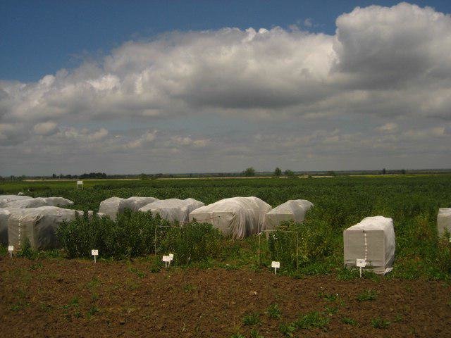 توصیه‌های سه روزه هواشناسی کشاورزی