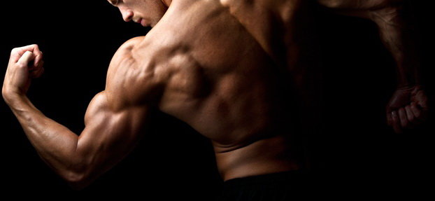 یارمحمدیان، رئیس هیئت بدنسازی و پرورش اندام اصفهان شد یارمحمدیان، رئیس هیئت بدنسازی و پرورش اندام اصفهان شد