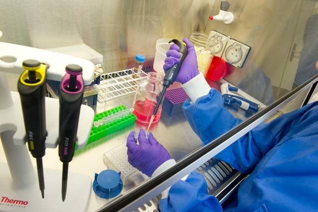 عکس تزئینی است فراخوان «برنامه راهبری علمی پزشکی دقیق در بیماریهای غیرواگیر»