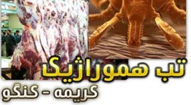 موردی از تب کریمه‌کنگو در البرز مشاهده نشده است