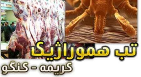 موردی از تب کریمه‌کنگو در البرز مشاهده نشده است