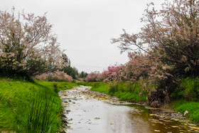 طبیعت زیبای منطقه سد ستارخان اهر - آذربایجان شرقی