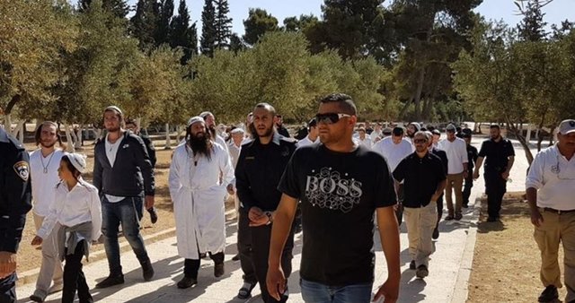 تعرض ۲۳۳ شهرکنشین به مسجدالاقصی در عید یهودی "حانوکا" تعرض ۲۳۳ شهرکنشین به مسجدالاقصی در عید یهودی "حانوکا"
