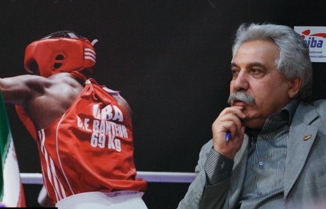 مقصودی: بوکس نیاز به همدلی دارد/ ثوری باید به ردههای پایه توجه کند بوکس