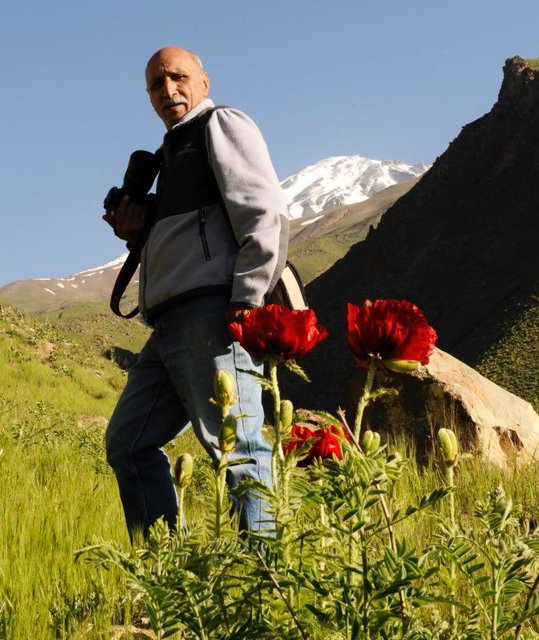 علیرضا سلطانی‌ فردا تشییع می‌شود