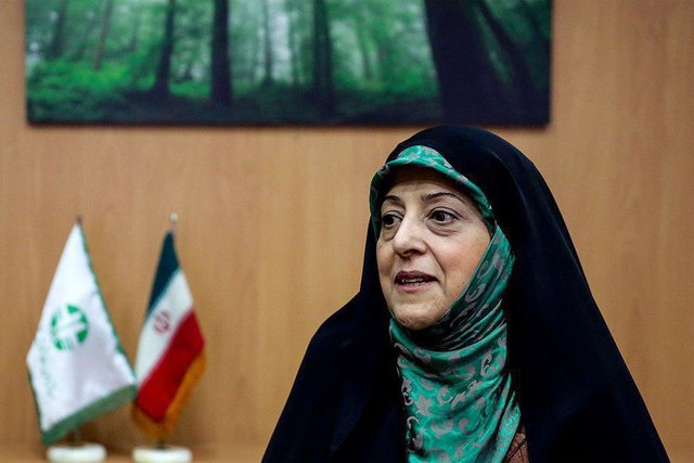 واکنش ابتکار به ابهامات مرگ پلنگ هیرکان واکنش ابتکار به ابهامات مرگ پلنگ هیرکان