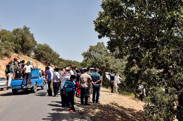 عکس آرشیوی است. مردم در اطفای حریق جنگلها پیشگام هستند؛ وظیفهشناسی دستگاهها کجاست؟