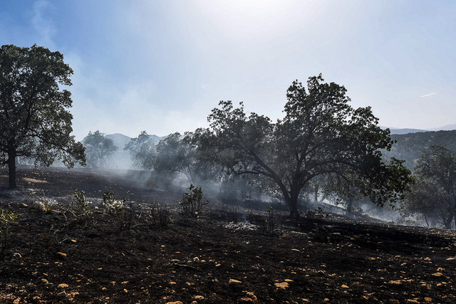 انتقاد دبیر مجمع تشخیص مصلحت نظام از بی توجهی به سیاستهای کلی محیط زیست انتقاد دبیر مجمع تشخیص مصلحت نظام از بی توجهی به سیاستهای کلی محیط زیست