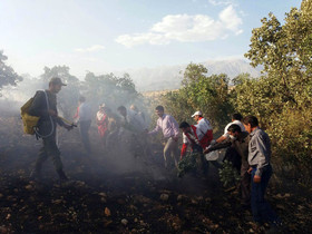 مهار 3 فقره آتش سوزی در جنگلها و باغات کهگیلویه و بویراحمد