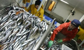 تعهد ۹ شرکت بزرگ شیلات به حفظ اقیانوس‌های جهان