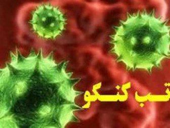 مورد تاییدشده‌ای از تب کریمه کنگو در خوزستان گزارش نشده است