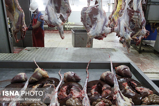عکس از آرشیو کشتارگاه دام ایذه تعطیل شد