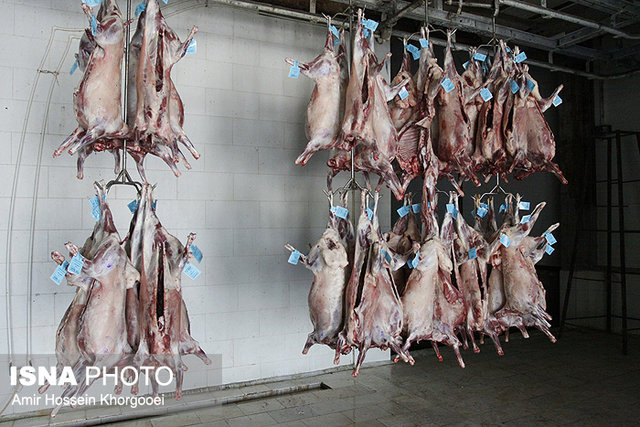 عکس از آرشیو کشتارگاه نیشابور یکی از ۴ کشتارگاه صنعتی استاندارد خراسان رضوی