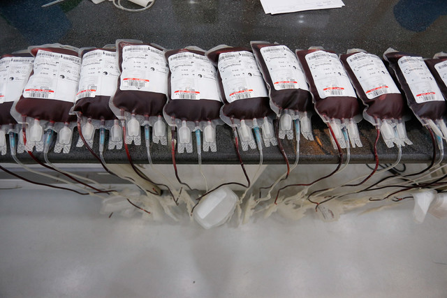 اهدای خون، نشانی از همبستگی اجتماعی است