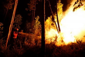 درخواست محیط زیست از قضات برای اشد مجازات آتش افروزان جنگل‌ها