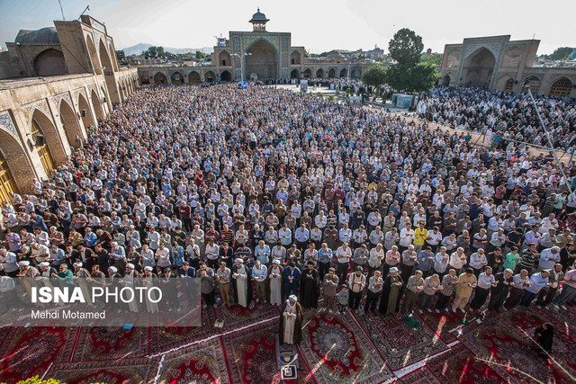 گرگ‌ها فقط زبان موشک را می‌فهمند