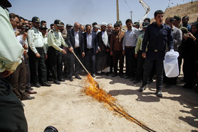 امحاء ۴۵تن مواد مخدر در شیراز