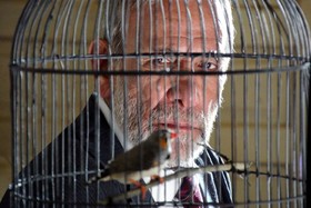 حضور و غیاب حسین محجوب در کارلووی واری