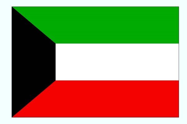 کویت شخصیت‌ها و شرکت‌های وابسته به انصارالله را تحریم کرد