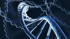 بررسی کاربردهای سیستم ویرایش ژنوم در پژوهشگاه مهندسی ژنتیک