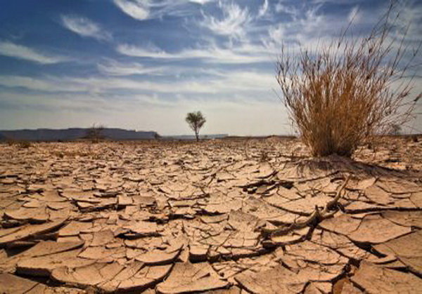بیش از ۱۱۰ کشور درگیر بیابان‌زایی/ قرار گرفتن ۶۱ درصد مساحت کشور در اقلیم خشک