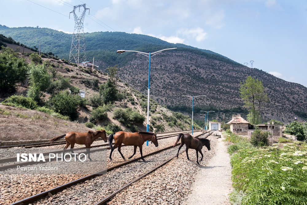 ایسنا - قطار گردشگری رجا