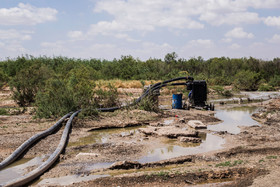 استفاده غیر قانونی از آب‌های آلوده رودخانه کشف رود خراسان رضوی برای کشاورزی