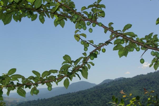 مازندران را این‌گونه ببینید!