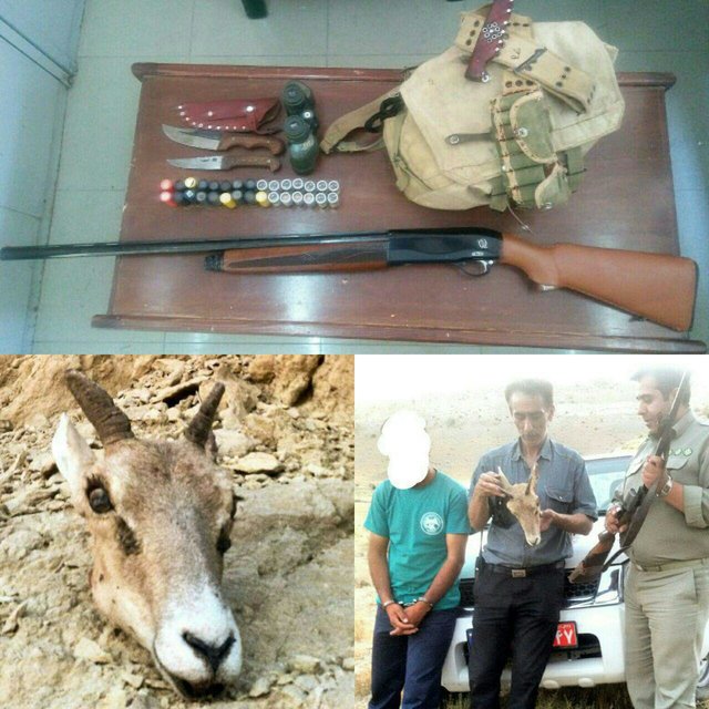 نتیجه تصویری برای دستگیری ۲ شکارچی غیر مجاز در استان مرکزی