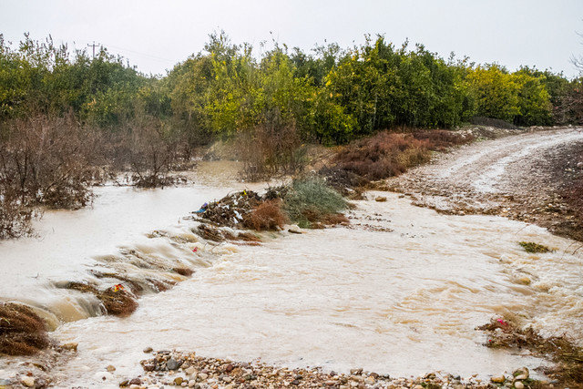 خسارت سیل به محصولات سه روستای شهرستان خوشاب

