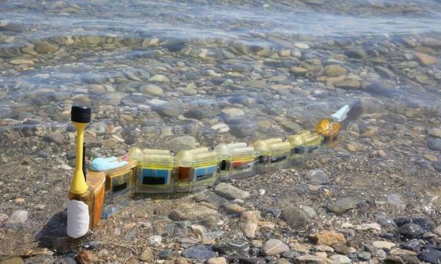 ربات مارماهی که منبع آلودگی آب را ردیابی می‌کند+فیلم