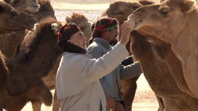 «روزگاری هامون» بهترین فیلم «سینه اکو» 