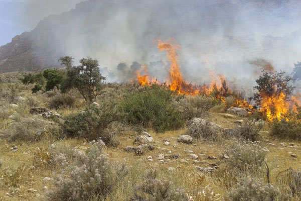 آتش سوزی در حاشیه جنگل مازولنگه رامسر 