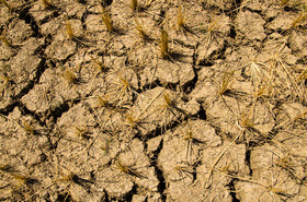 تعیین الگوی کشت بهینه محصولات کشاورزی در دشت‌های استان مرکزی
